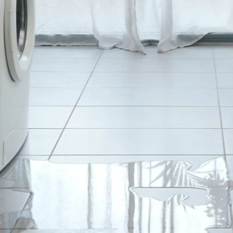 Appliance Leak Cleanup in Dolton, IL