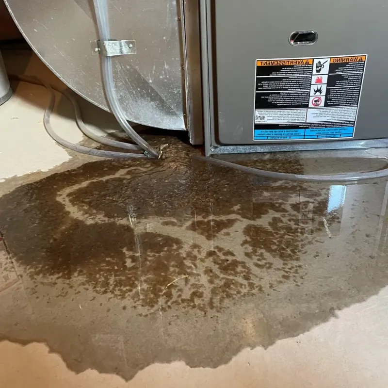 Pipe Burst and Leak Restoration in Dolton, IL