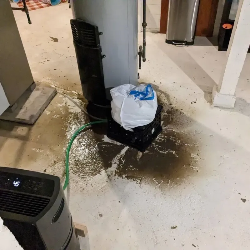 Sewage Backup Cleanup Service in Dolton, IL